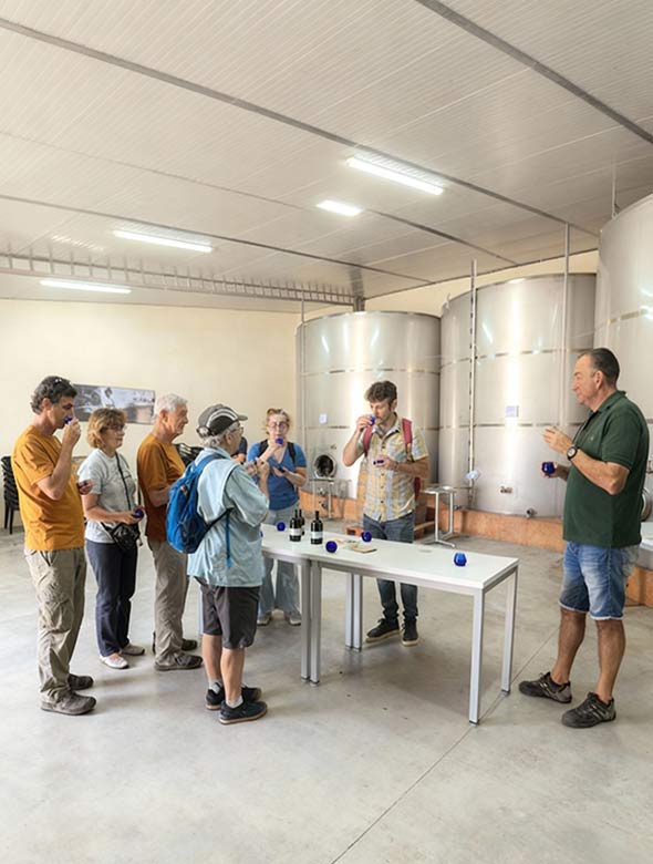 visita grupal guiada almazara